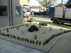 Aanleg voortuin met grind, buxus en siergrassen
