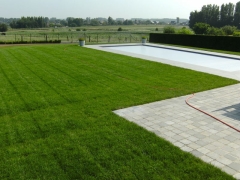Aanleg graszoden