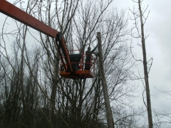 Afzagen bomen met hoogwerker
