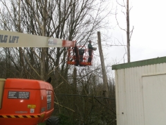 Trimmen bomen met hoogtewerker