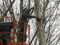 Afzagen bomen met hoogtewerker