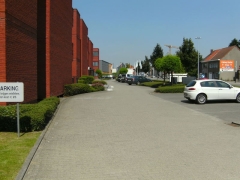 Onderhouden struiken