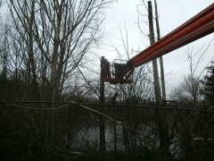 Snoeien bomen met hoogwerker